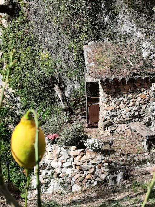 Chalet Zenitude Breil-sur-Roya Exterior foto